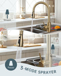 Brushed Gold Pull-Out Kitchen Mixer Tap