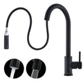 Matte Black Pull-Out Kitchen Mixer Tap