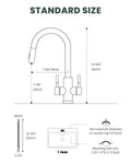 Matte Black Dual Lever Pull-Out Kitchen Mixer Tap