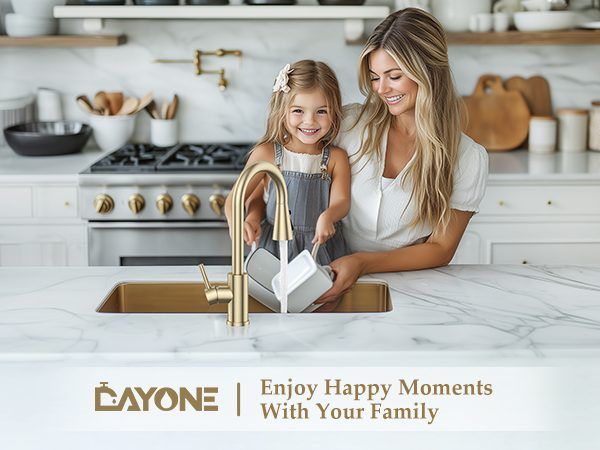 DAYONE Brushed Gold Pull-Out Kitchen Mixer Tap