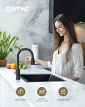 DAYONE Matte Black Pull-Out Kitchen Mixer Tap