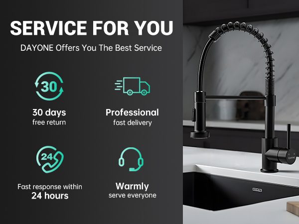DAYONE Matte Black Spring Pull-Down Kitchen Tap