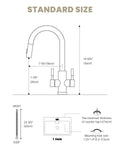Polished Chrome Dual Lever Pull-Out Kitchen Mixer Tap